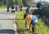 Camat Jemaja Timur Pimpin Gotong Royong Gabungan Gerakan Indonesia ASRI di Desa Bukit Padi