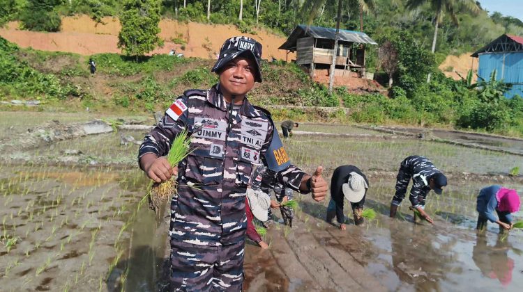 TNI AL Bantu Petani Tanam Padi, Dukung Ketahanan Pangan di Wilayah Perbatasan
